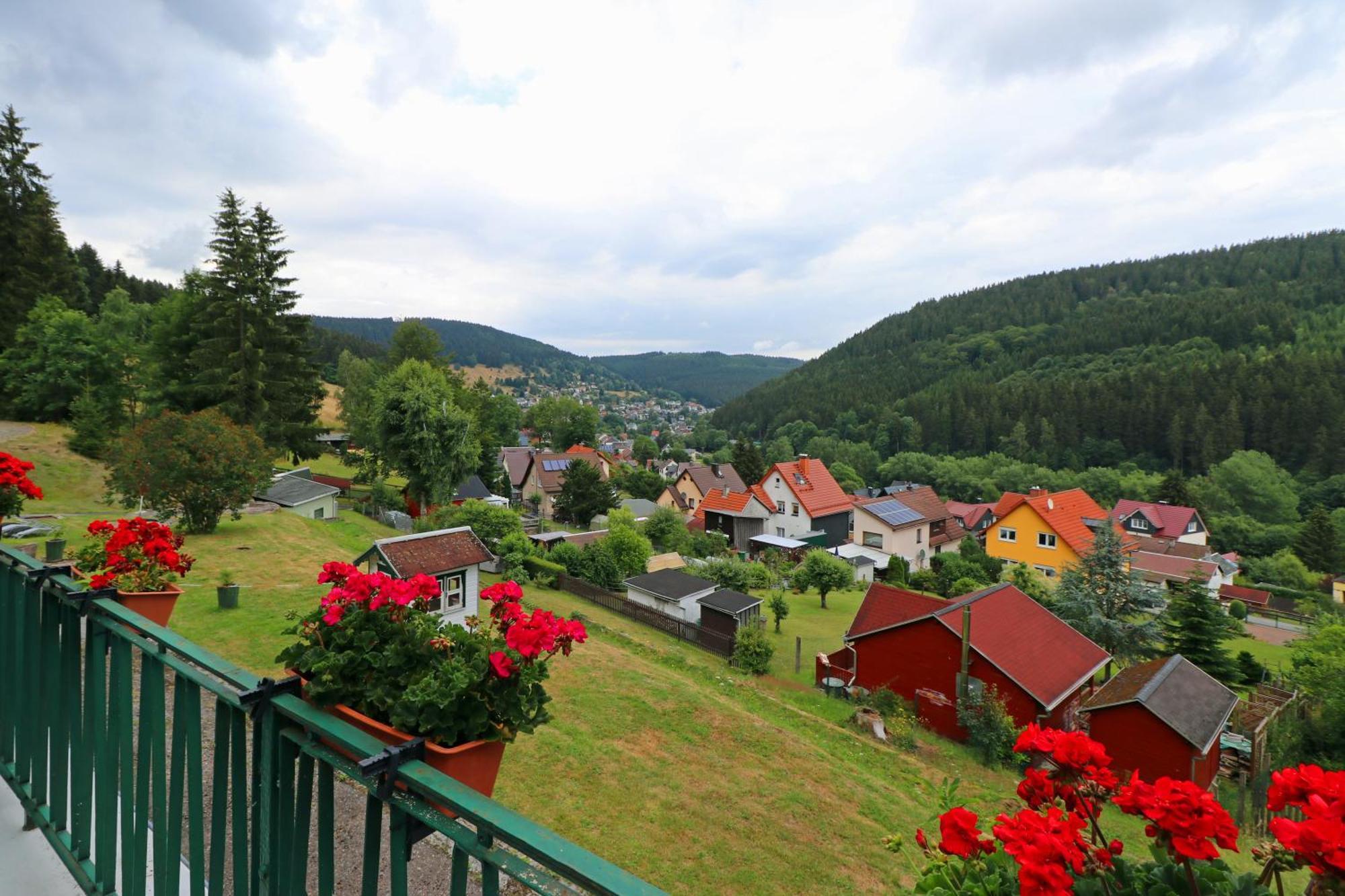 Pension Am Waldesrand Ilmenau Exterior foto