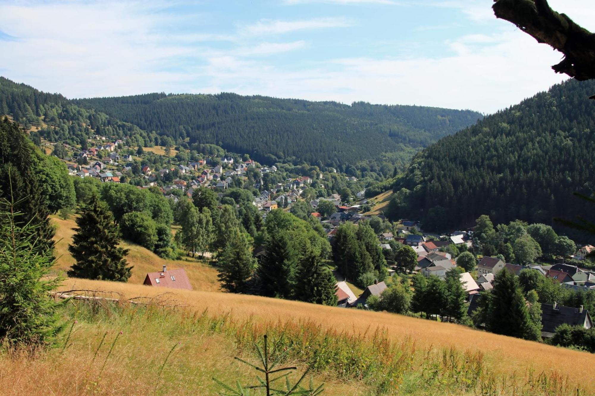 Pension Am Waldesrand Ilmenau Exterior foto