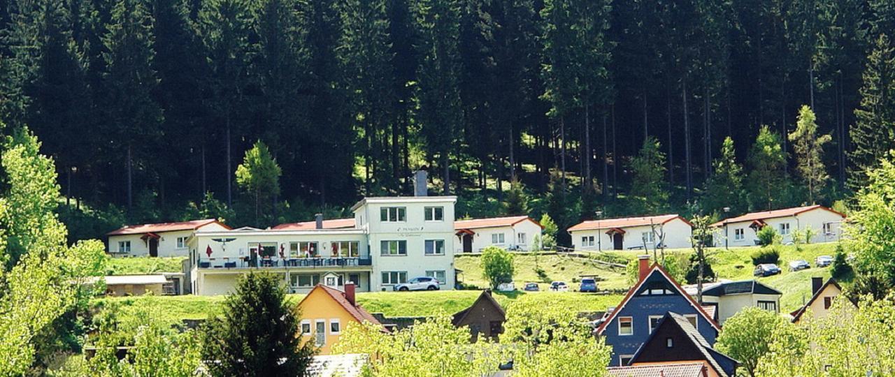 Pension Am Waldesrand Ilmenau Exterior foto